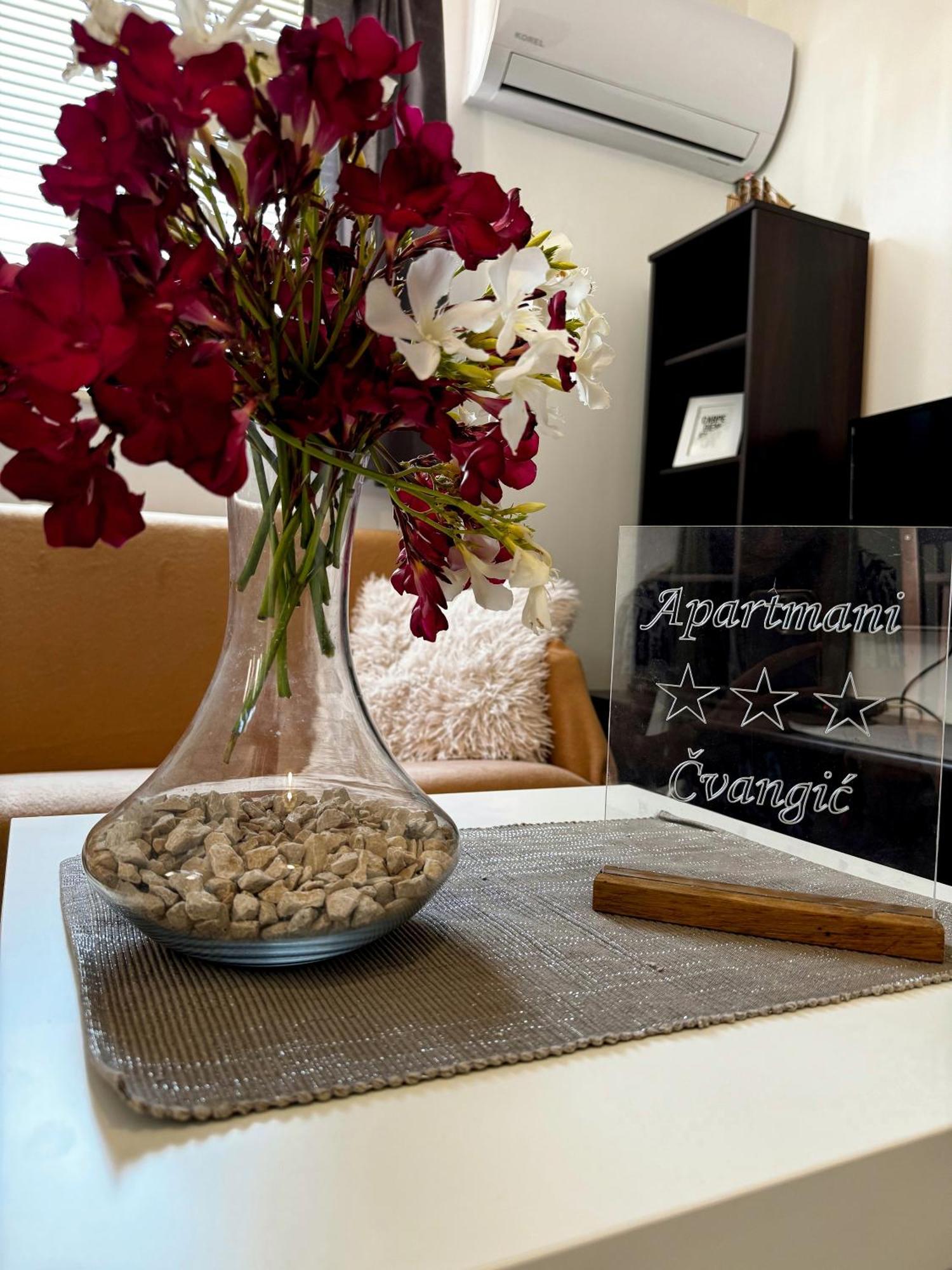 Apartmani Cvangic Вир Экстерьер фото